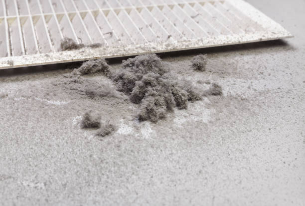 Best Air Duct Cleaning Near Me  in Pho, IL
