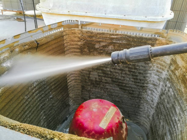 Best Professional Duct Cleaning Services  in Pho, IL