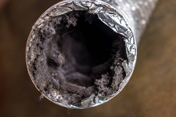 Best Air Duct Cleaning Company Near Me  in Pho, IL