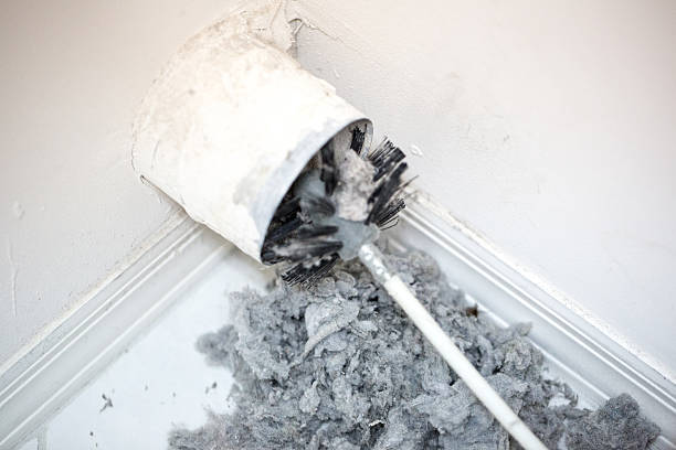 Best Dryer Vent Cleaning Services  in Pho, IL